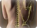 CHIROPRACTIC