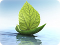 NATUROPATHY