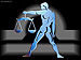 libra