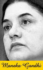 Read Latest Articles of Maneka Gandhi