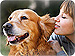 Pet Care