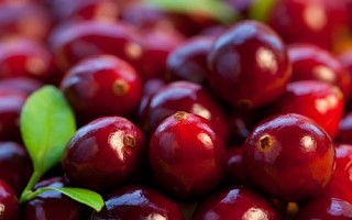 Winter special: 5 fruits you must have to boost immunity