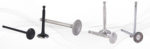 engine parts (ENGINE VALVES)