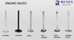 Renex Valves Renex Valves