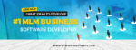 ARM MLM Software