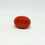 japanese red coral japanese red coral