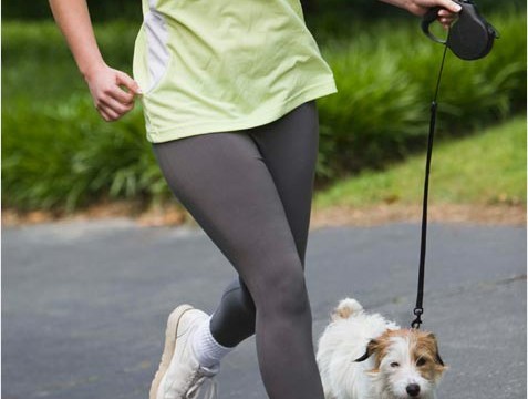 Dog’s behaviour `indicator` of elderly owner’s health