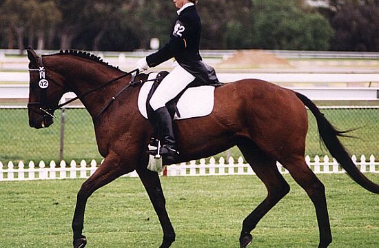 Meet the Spanish man who is riding 2,000 miles on horse-back for job!