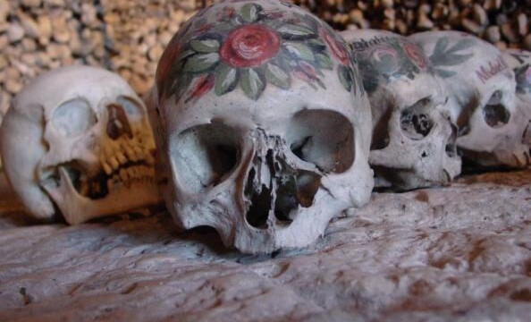Unique skull sheds new light on human evolution