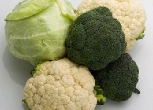 Vegetable compound may offer protection against `lethal` radiation doses
