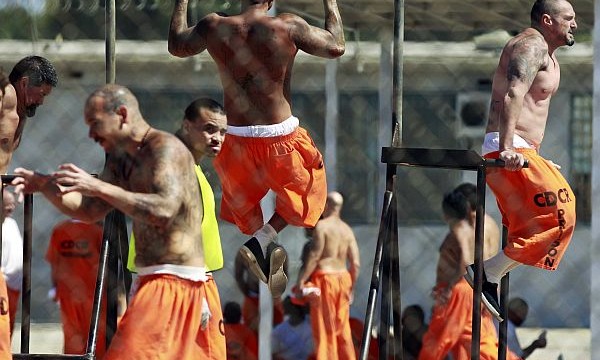 White-collar criminals cope better with prison life than other inmates
