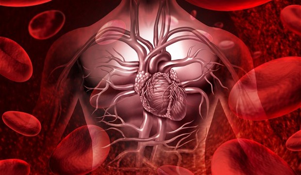 Why heart rate decreases with age