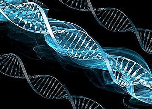 Human DNA could reveal if we will have marital satisfaction or not