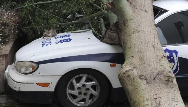 8 killed in floods after typhoon hits China
