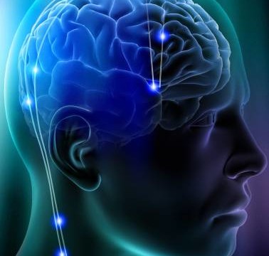 Blame your genes for your aging brain