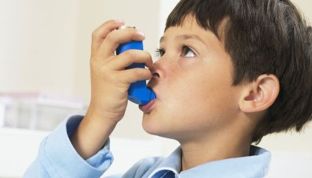 Main genes responsible for asthma attacks in kids identified