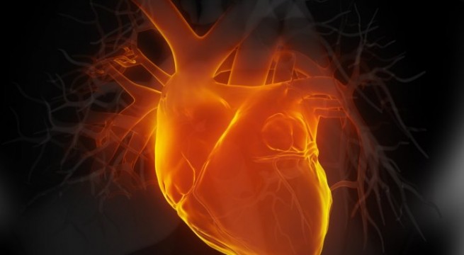 New gene therapy that can reverse heart failure developed