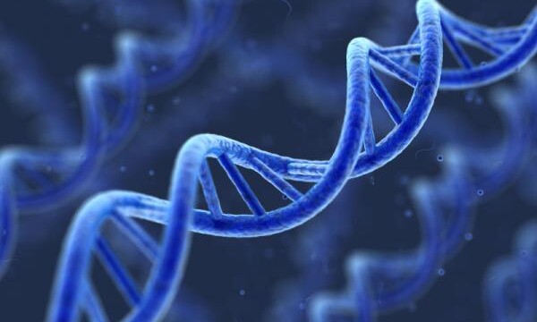 Protein coding `junk genes` key to understanding cancer