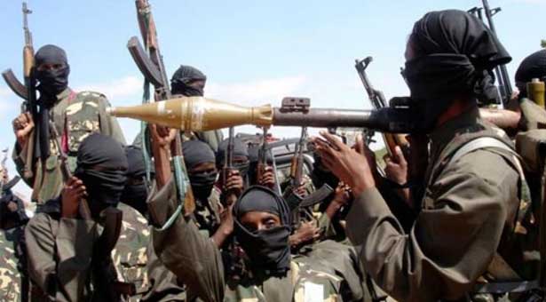 Seven Boko Haram militants killed in Nigeria