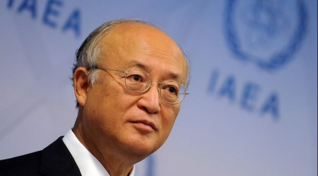 IAEA chief hopes concrete results in talks with Iran