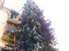 A Christmas Tree that is India's tallest - and growing