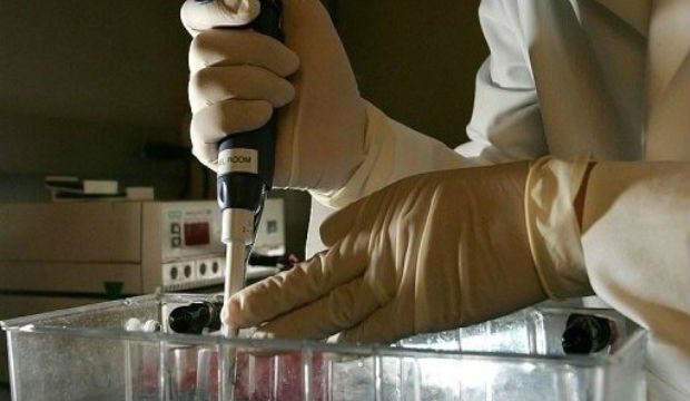New breakthrough brings HIV cure closer to reality