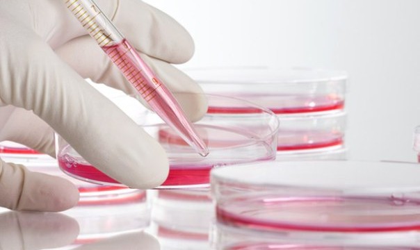 New stem cell breakthrough brings gastrointestinal disorders cure closer to reality