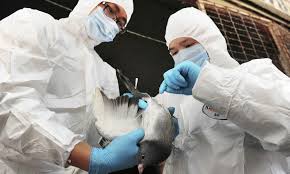 Hong Kong confirms H7N9 bird flu`s first human case