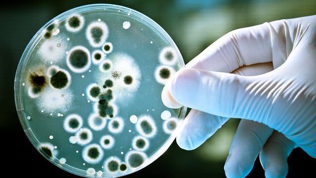Protein resistant to superbugs discovered